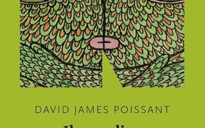 Il paradiso degli animali